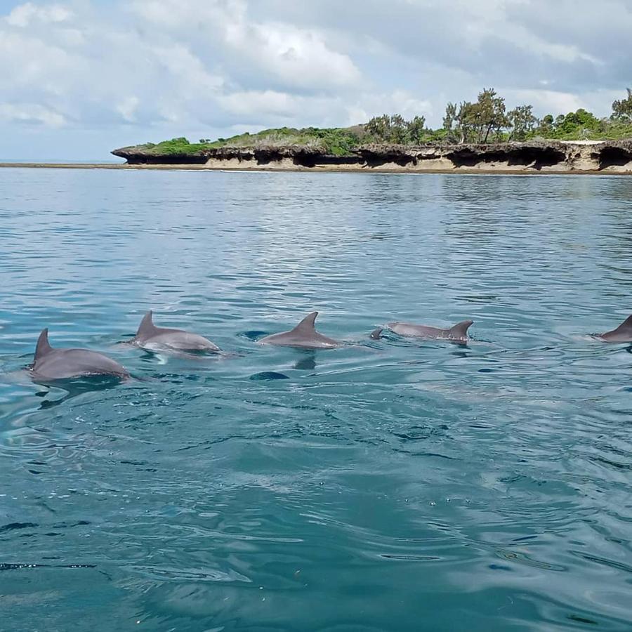 Wasini Raha Snorkeling And Diving Διαμέρισμα Εξωτερικό φωτογραφία